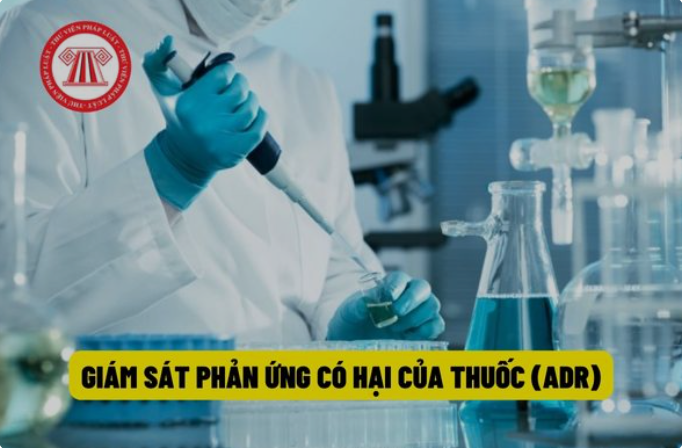 Quy trình giám sát các phản ứng có hại của thuốc