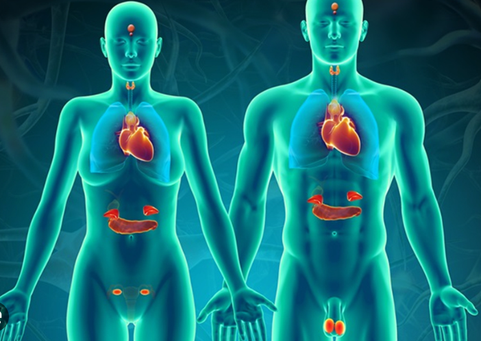 THIRTY endocrine disorders/syndromes with gene causal relationships (Genetic Endocrine Disorders)