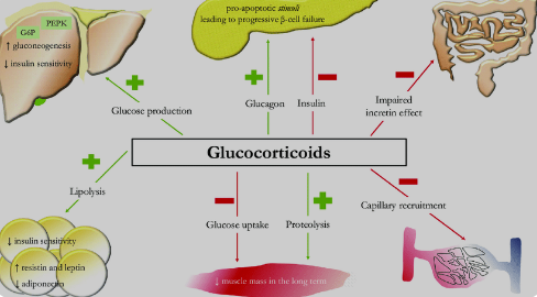 Liệu pháp Corticoid trên bệnh nhân Đái tháo đường