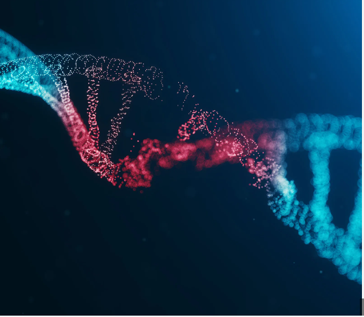 DNA TRANSCRIPTION 2024