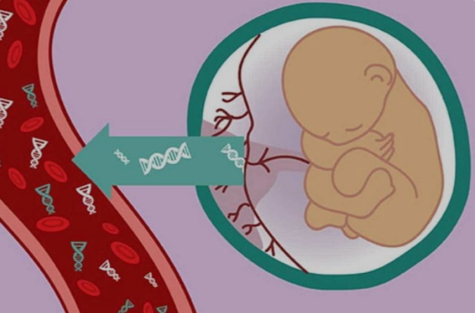 “POSITIVE” NIPTs: INTERPRETATIONS, LIMITATIONS & THE 2024 RECOMMENDATIONS from ACOG.