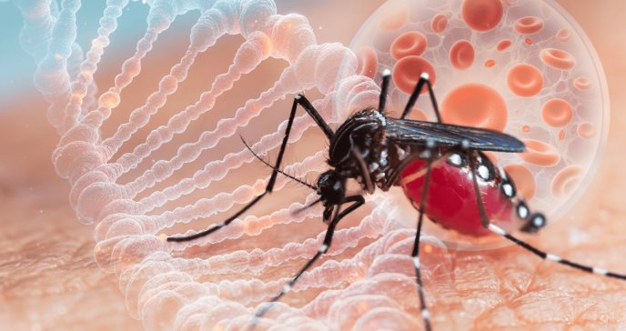 MỘT VÀI CÂU HỎI VỀ DENGUE